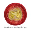 Lana Grossa Shades of Merino Cotton Farbe 607  200 gramm Knäuel